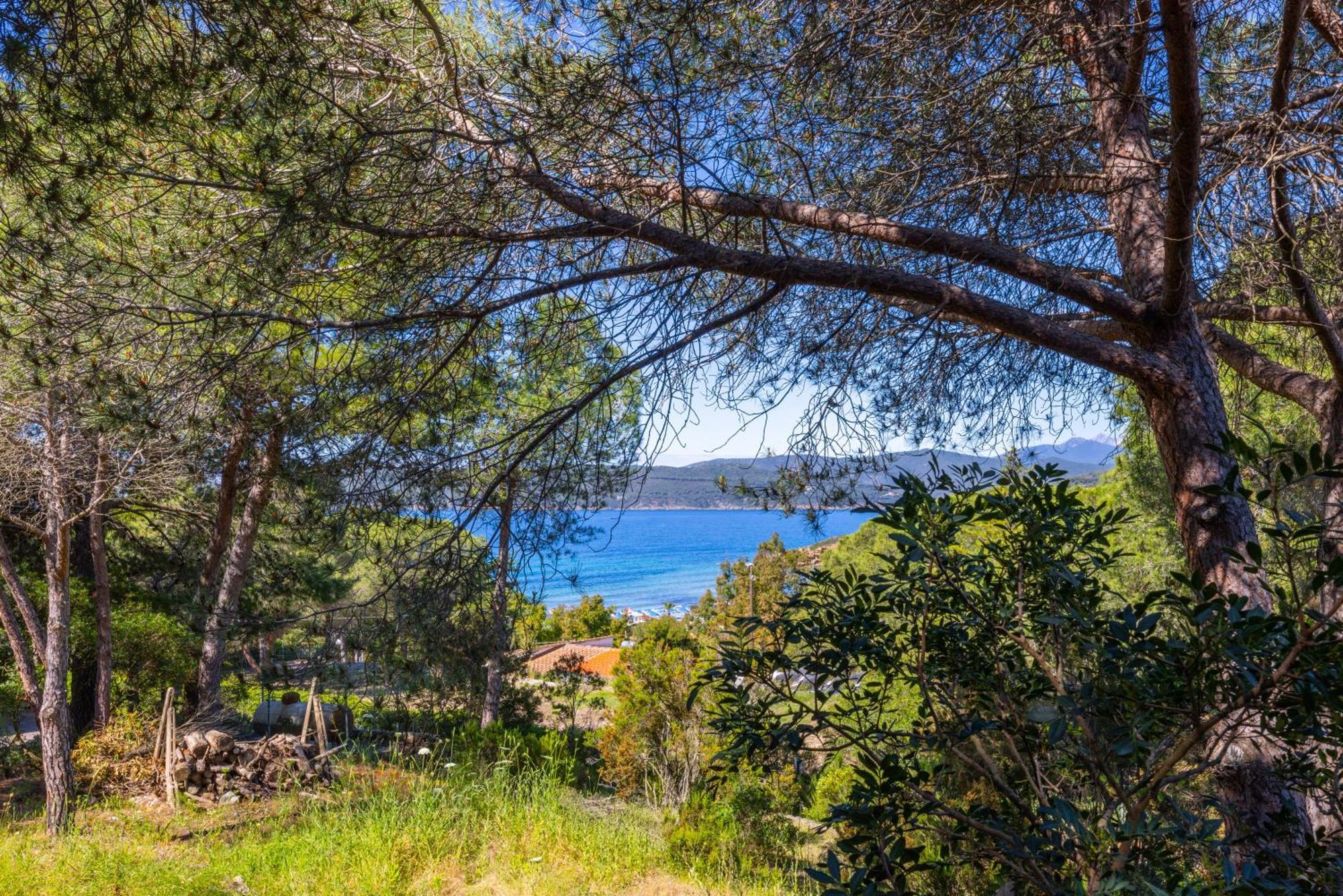 Camping Bungalow Lido Hotel Capoliveri  Exterior photo